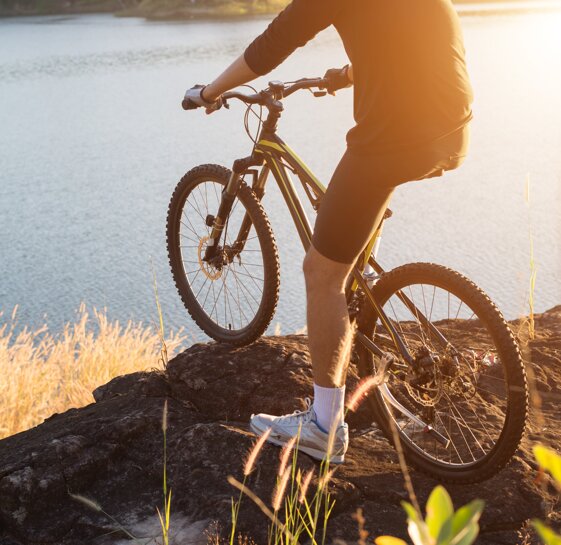 1317ec73-6af8-4fe9-8068-1ab1127b5fb2