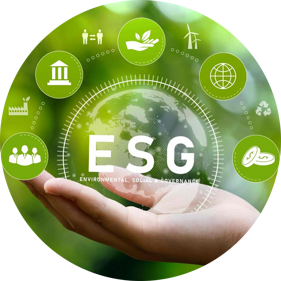 7e2a3afe-4204-44a8-8b08-138e085c68a2 7e2a3afe-4204-44a8-8b08-138e085c68a2