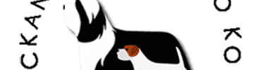 Jackandfish & Ariko Koyu Allevamento riconosciuto ENCI - FCI