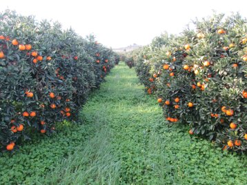 9855174f-786f-40d3-8af5-886b600cedfc 9855174f-786f-40d3-8af5-886b600cedfc