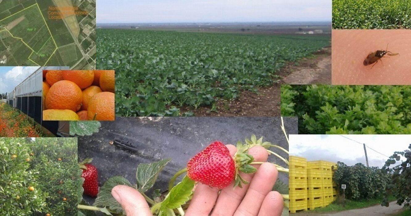 446f0815-7692-4408-9b80-b8a8cd8c229f 446f0815-7692-4408-9b80-b8a8cd8c229f