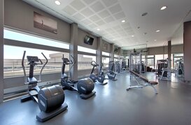 palestra.jpeg
