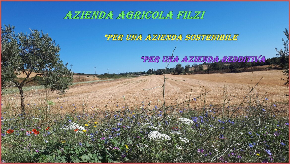 987eac5f-aa3b-4630-a982-dd17df8712d3.jpeg 987eac5f-aa3b-4630-a982-dd17df8712d3.jpeg