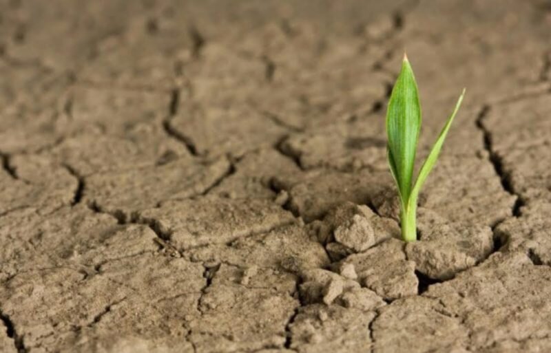 95554ca8-3d0e-468c-9ba8-e5ab9929bfc4 95554ca8-3d0e-468c-9ba8-e5ab9929bfc4