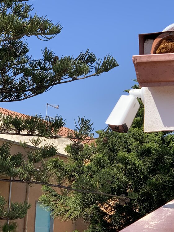 3fabb65f-d679-40ff-b072-e55dac1bcad9