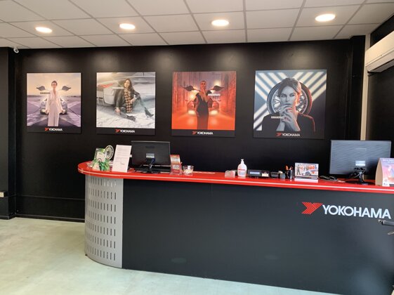 b7036881-3b0c-459a-b585-e3e9d5c29d4a