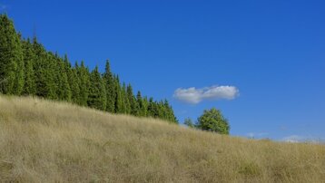 490ac586-f662-4385-a738-f27f9e1bf706