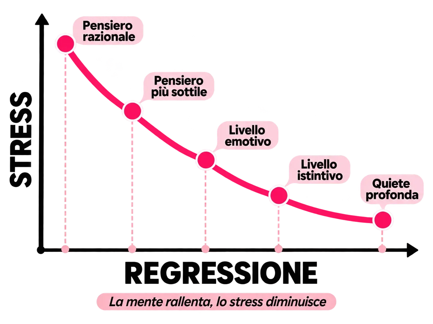 mt_grafico_mente.webp