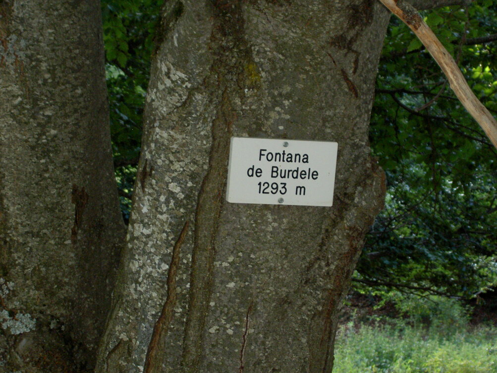 pict3482.jpeg