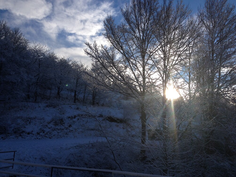 img_2759.jpeg