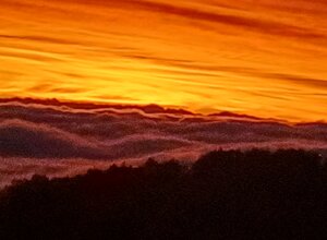 a98ef6f5-049f-4531-969a-62f4cc4b17cc.jpeg
