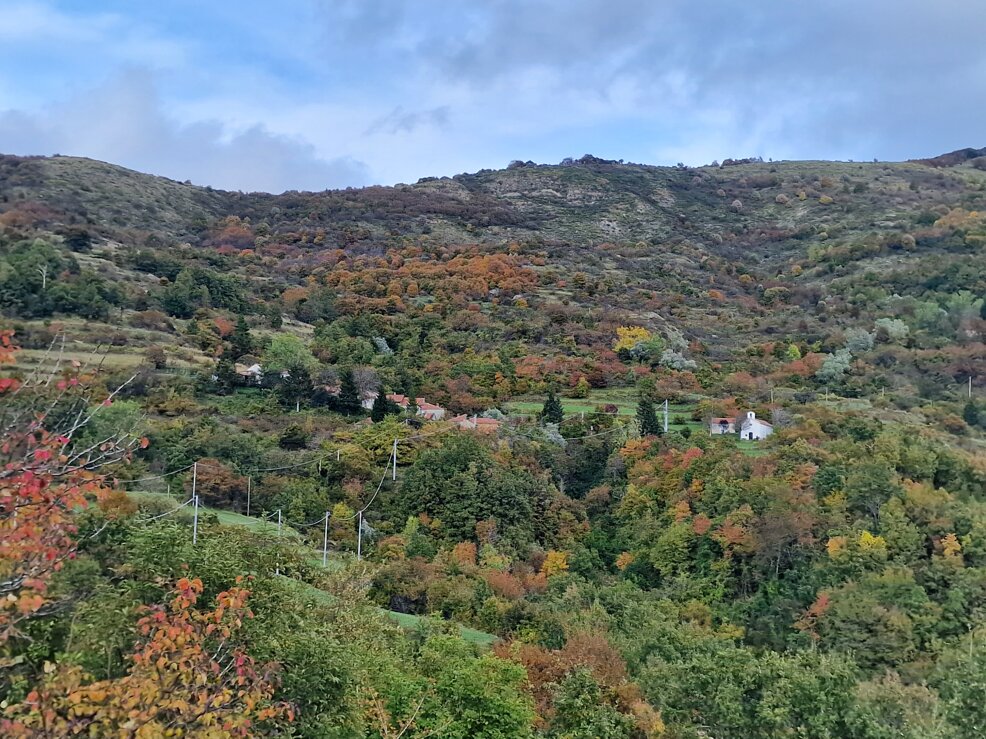 20241013_170127.jpeg