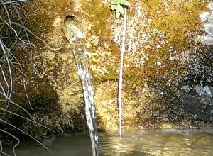 img_20180331_103727.jpeg