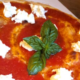 ecea5237-afb0-4ad0-bb7f-05f7cecc92c2 ecea5237-afb0-4ad0-bb7f-05f7cecc92c2