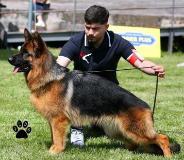 kora del sito reale.jpeg