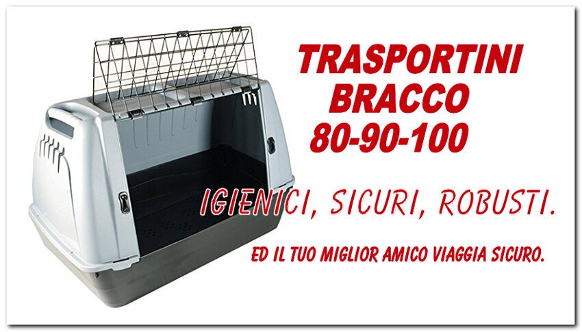 bracco_1