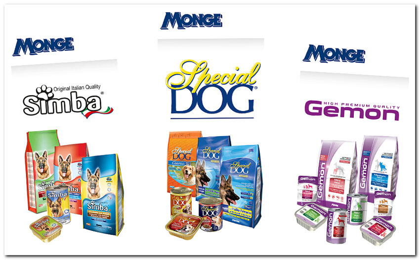 mongedog