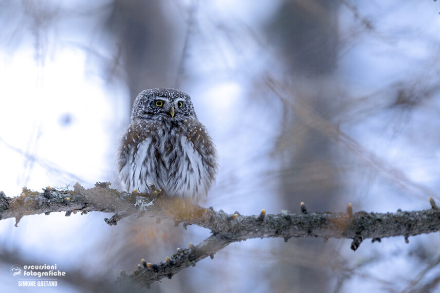 c5748c4a-2a09-45b9-af82-b758ec957a1d