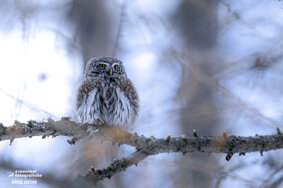 c5748c4a-2a09-45b9-af82-b758ec957a1d