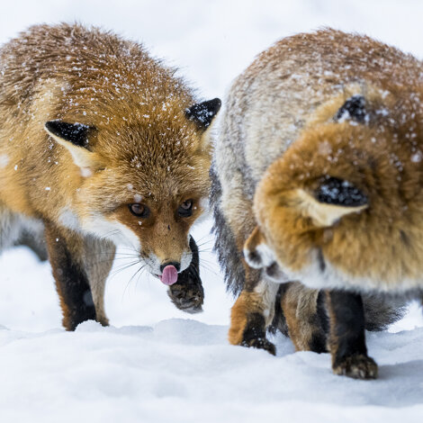 c685be05-6afa-48b5-ad52-35af8bd7266b