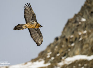 142f5178-ccd3-465f-b734-d74148565a1c