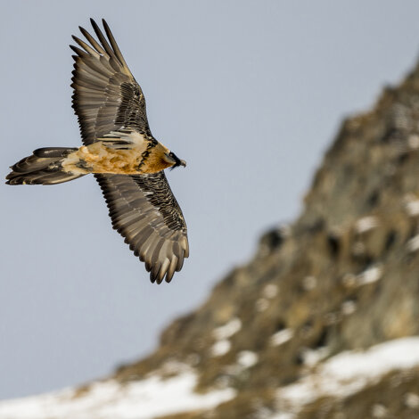 d8191555-8f53-49d5-8abf-e657bf616e1a