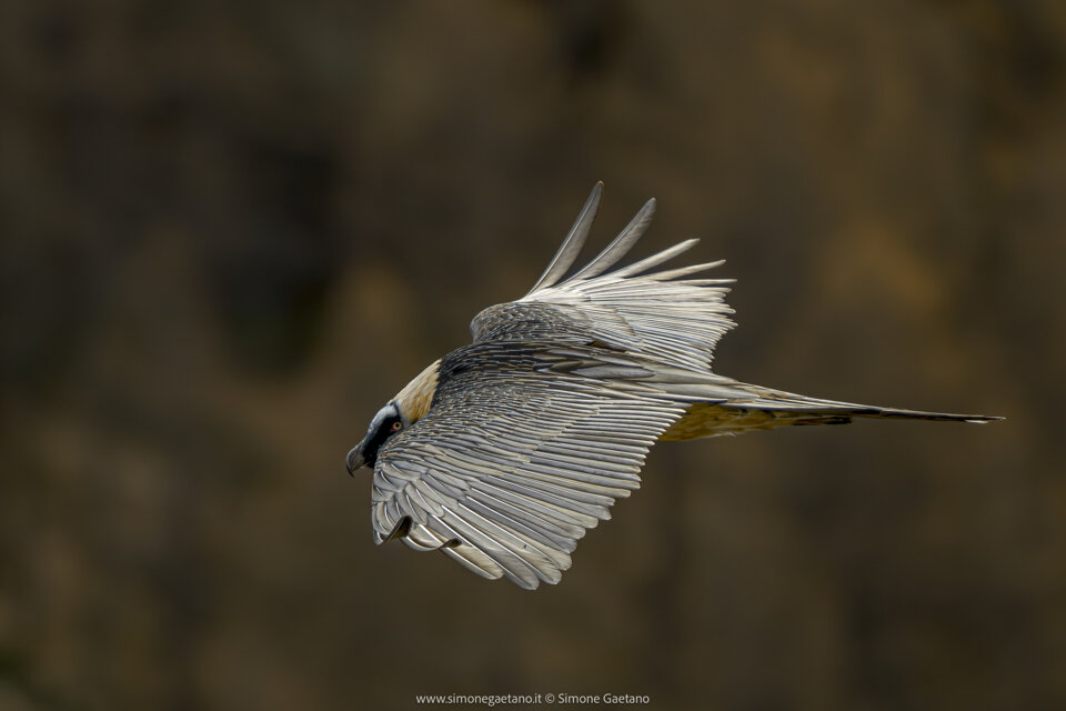 142f5178-ccd3-465f-b734-d74148565a1c