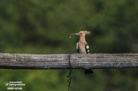 b32aaf8d-726b-4251-bdcf-ba13eb1435e1