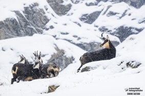 c685be05-6afa-48b5-ad52-35af8bd7266b