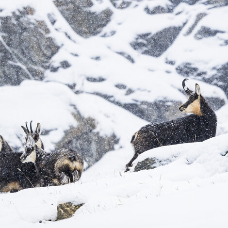 5690d56b-8eeb-4273-94aa-840c67112036