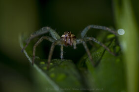 258da1f8-9d0b-4456-943b-7b1ea6ade699