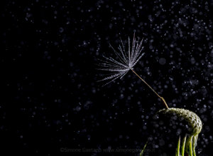 80af3bb1-713f-453b-a4cb-ebfecd8684b1