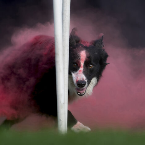 c6807def-8d79-4692-aaba-d546f1489dbe