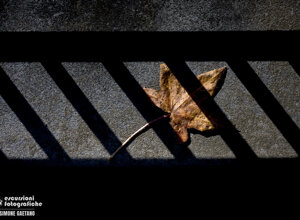 d8336c00-c1bb-4b9d-b575-7d4c616f0fca