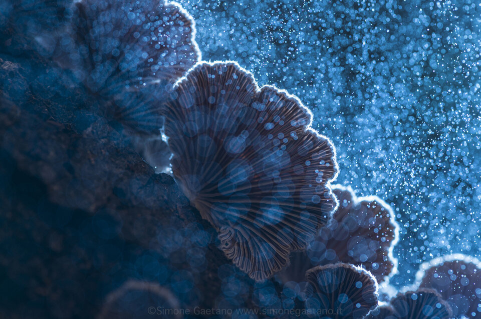 80af3bb1-713f-453b-a4cb-ebfecd8684b1