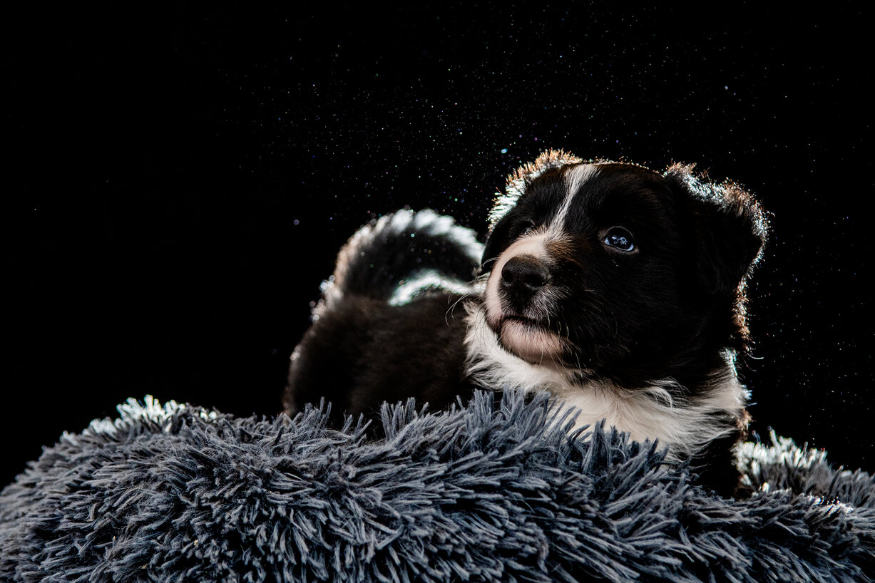_dsc3255-45.jpeg