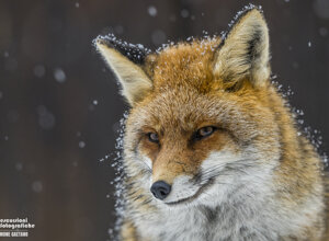 d8191555-8f53-49d5-8abf-e657bf616e1a