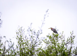 6589c1f3-03d4-463a-afbc-121a7bacd6aa