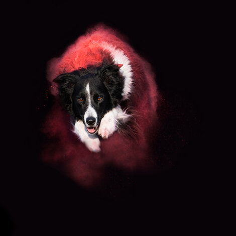 mae-mu-ndtchl4idmy-unsplash.jpeg