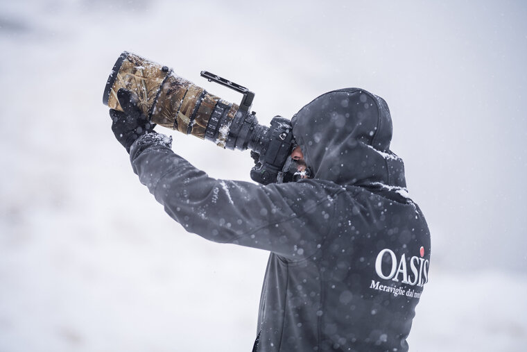 ef912849-15e5-49cb-89b5-0ddb2ebecb0b