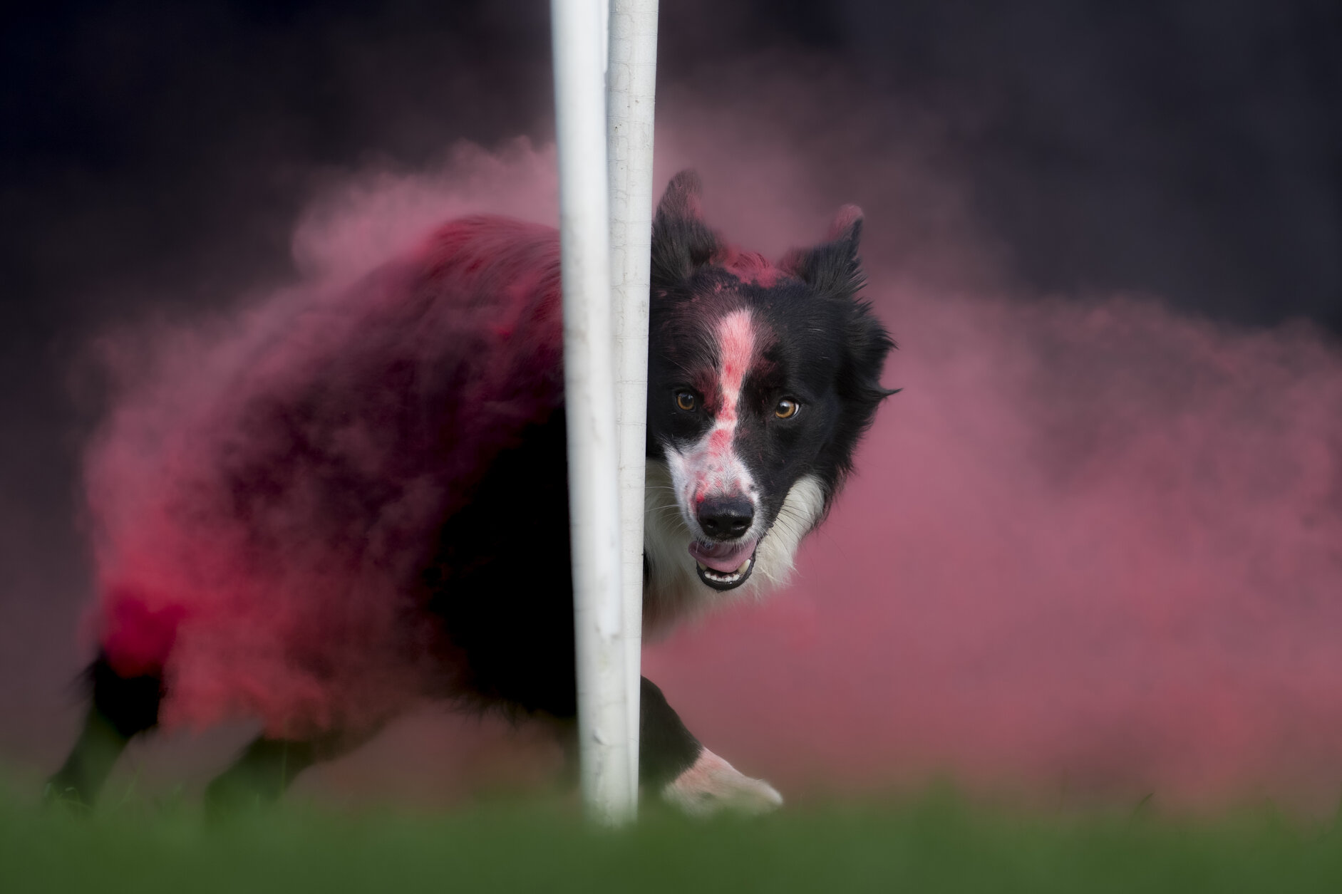 _dsc1637.jpeg