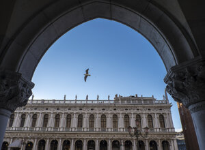 c635cb3d-d11b-493d-b776-531c4b16fe5d