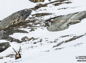 6c922070-c506-429c-a257-1dac310cc009