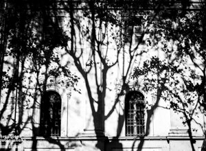 0cf9e213-e47f-4bb4-a95f-802c355dd708