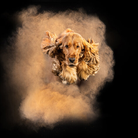 43b6aa4c-93bf-4a0c-ac4f-c50874ca9378