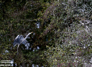 22b40b22-b1b1-4e15-ac74-982ab6afdc3d