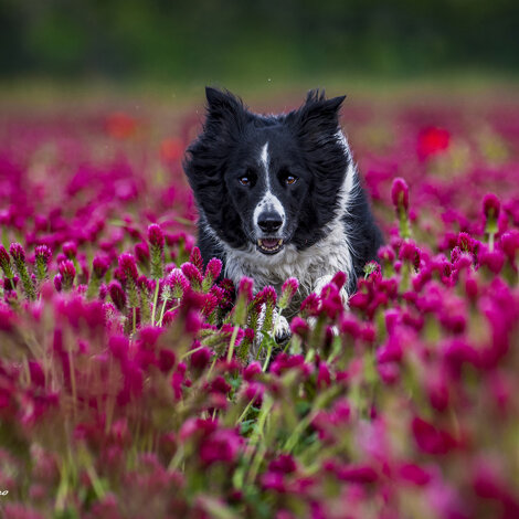 d50bcca4-e579-46f6-87cf-8ce636af4b83