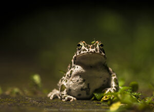 810458e6-f9fa-4b5f-87d9-6f969271c7c6