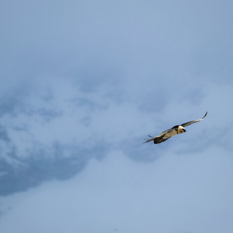 c5748c4a-2a09-45b9-af82-b758ec957a1d