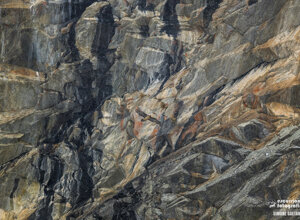 32286299-b4a9-4f3b-a3c6-f49e6a8c5781